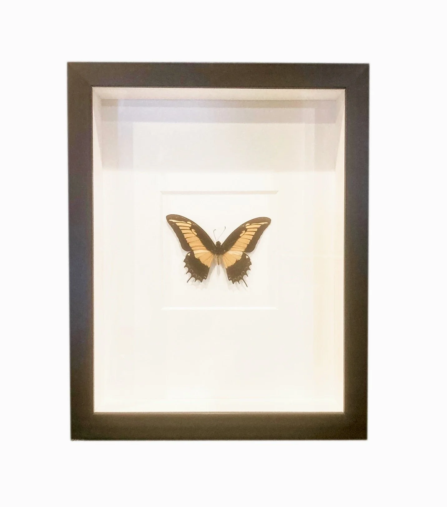 WALL ART — Accessory Preview Inc.